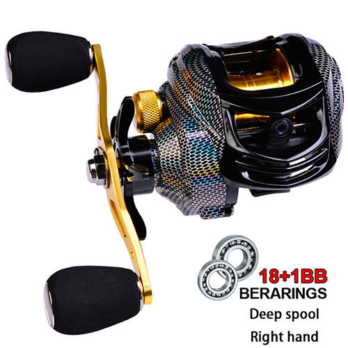 Baitcasting Reel 18+1BB Max Drag 8kg Saltwater Fishing Reels (Right Hand) 