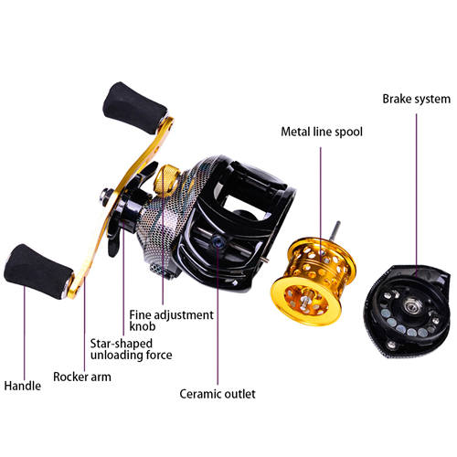 shallow and deep spool baitasting reels for fishing